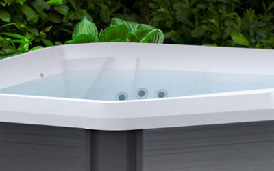 VASCA SPA TX 2 POSTI